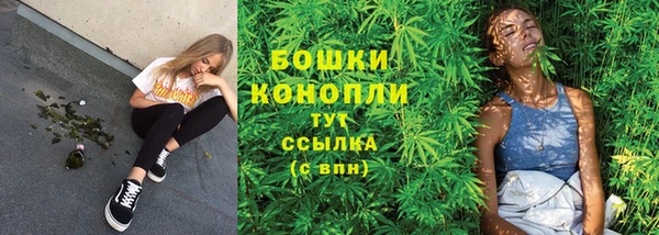 стафф Бронницы