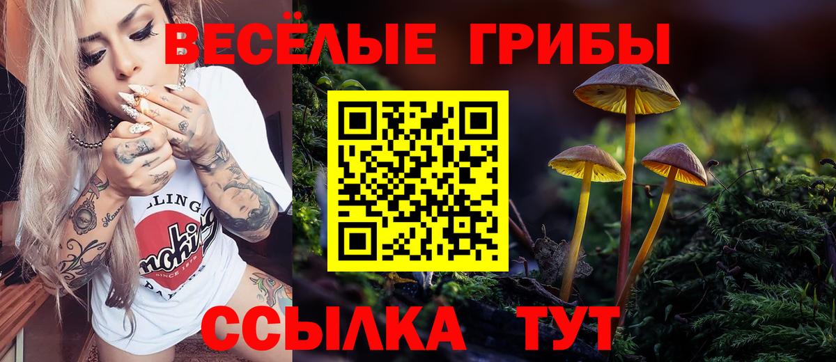 Нерюнгри  Галлюциногенные грибы ЛСД  Вход с VPN 